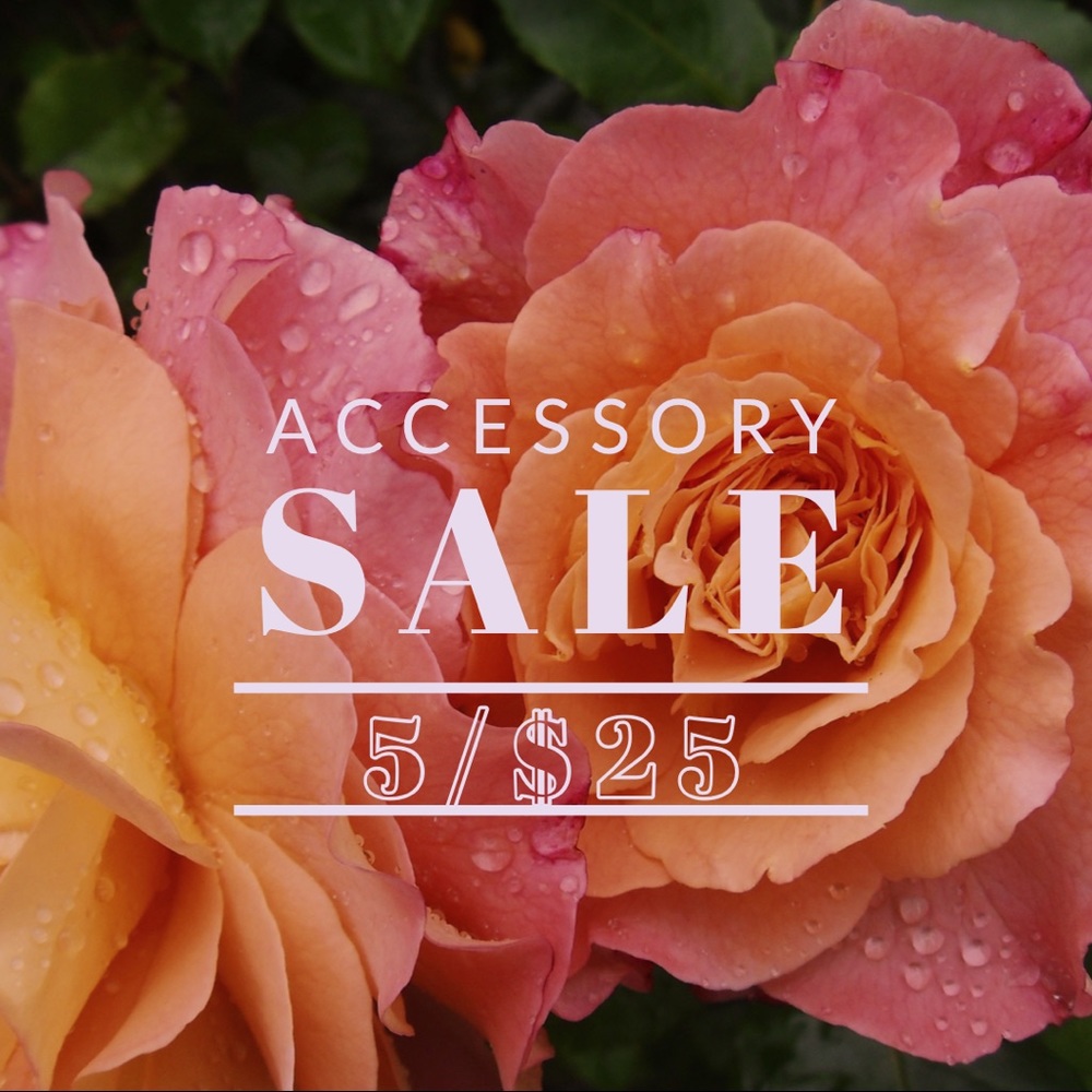 Accessory Sale 5/$25 🌸